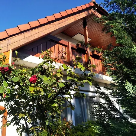 Robitel Wellness Vendeghaz Veszprem-gyulafiratot ゲストハウス ヴェスプレーム
