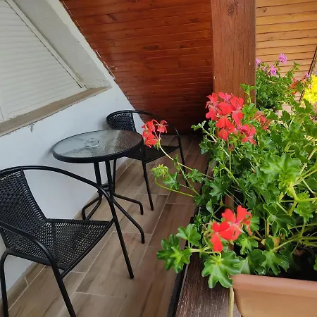 ゲストハウス Robitel Wellness Vendeghaz Veszprem-gyulafiratot