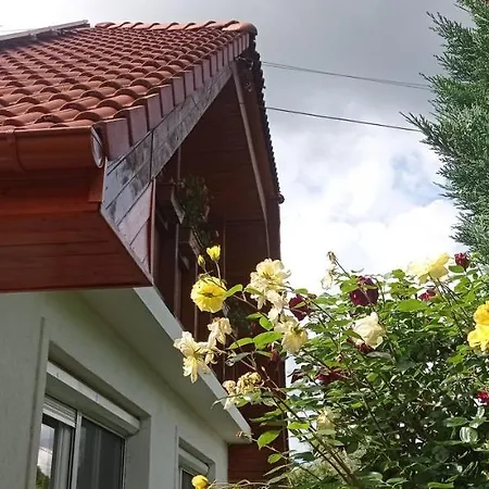 Robitel Wellness Vendeghaz Veszprem-gyulafiratot Guest house Veszprem