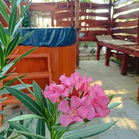 Robitel Wellness Vendeghaz Veszprem-gyulafiratot Guest house Veszprem