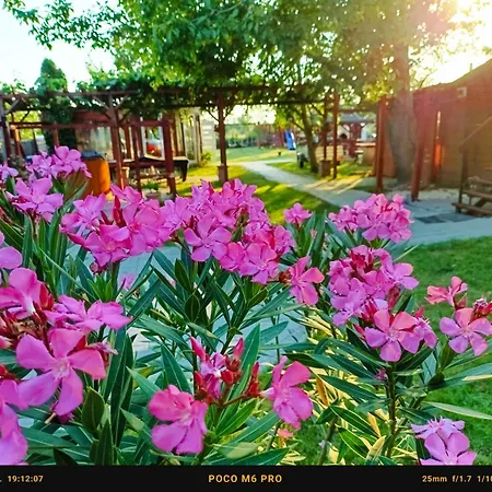 Robitel Wellness Vendeghaz Veszprem-gyulafiratot 4*