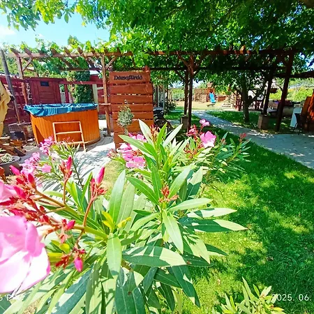 Robitel Wellness Vendeghaz Veszprem-gyulafiratot Πανσιόν