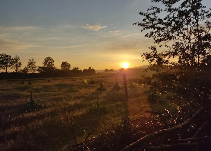 ゲストハウス Robitel Wellness Vendeghaz Veszprem-gyulafiratot