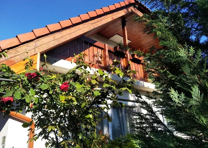 Robitel Wellness Vendeghaz Veszprem-gyulafiratot ゲストハウス ヴェスプレーム