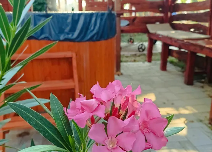 Robitel Wellness Vendeghaz Veszprem-gyulafiratot ゲストハウス ヴェスプレーム