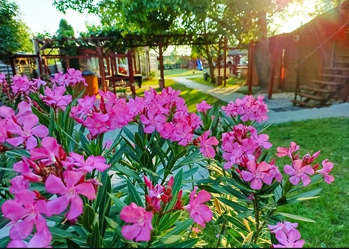 Robitel Wellness Vendeghaz Veszprem-gyulafiratot 4*