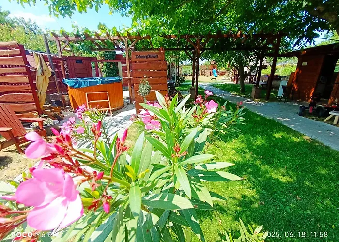 Robitel Wellness Vendeghaz Veszprem-gyulafiratot ゲストハウス