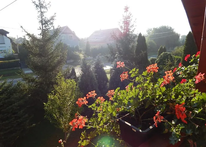 Robitel Wellness Vendeghaz Veszprem-gyulafiratot 4* ヴェスプレーム